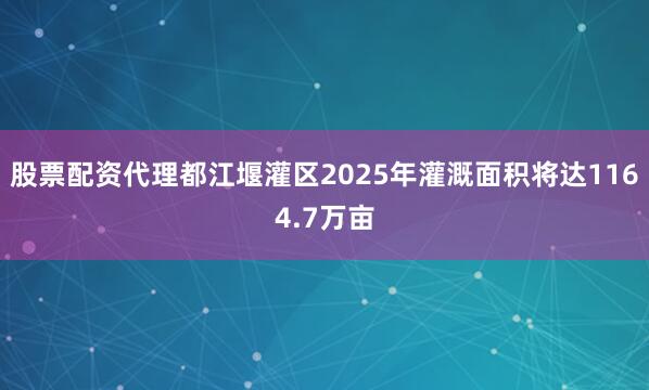股票配资代理都江堰灌区2025年灌溉面积将达1164.7万亩