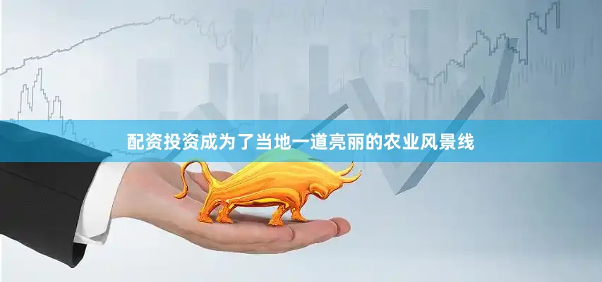 配资投资成为了当地一道亮丽的农业风景线