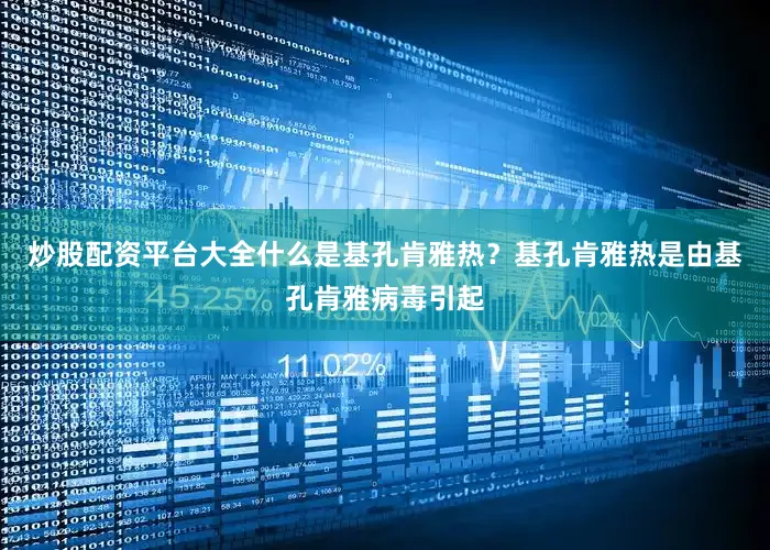 炒股配资平台大全什么是基孔肯雅热？基孔肯雅热是由基孔肯雅病毒引起