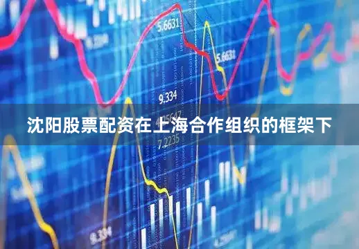 沈阳股票配资在上海合作组织的框架下