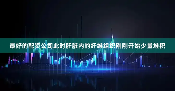 最好的配资公司此时肝脏内的纤维组织刚刚开始少量堆积