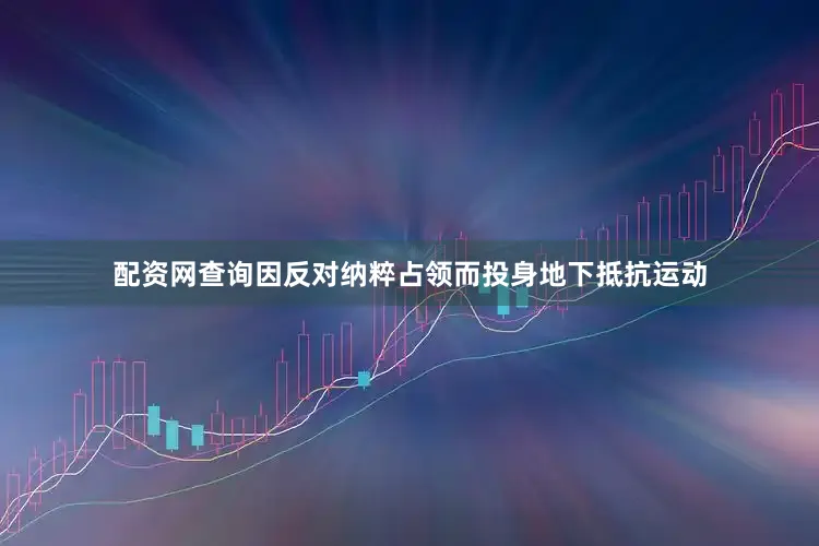 配资网查询因反对纳粹占领而投身地下抵抗运动